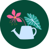 Graines de botaniste Logo