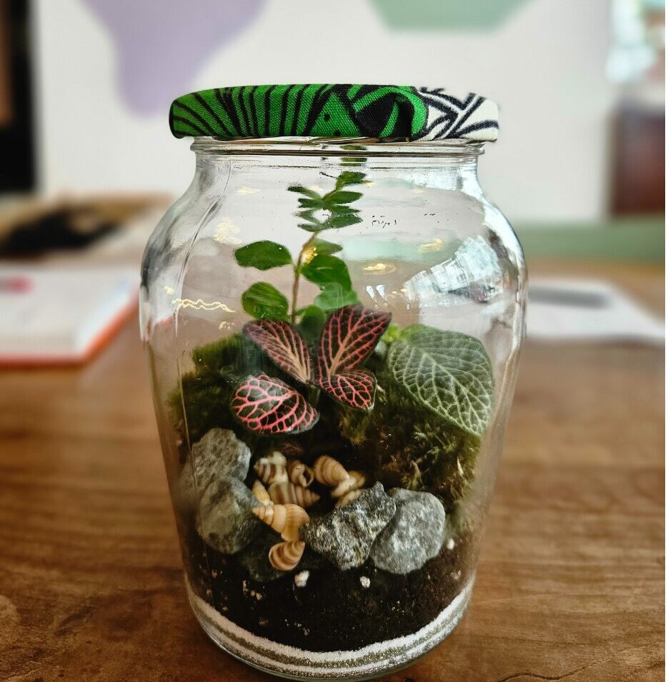 animation anniversaire enfant terrarium paris