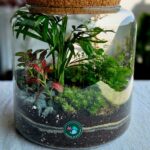 Terrarium adultes