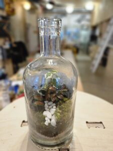 terrarium en bouteille